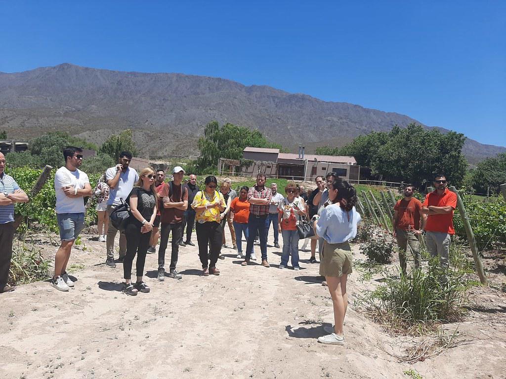 multimedia.normal.b54a2182f9ad8a4b.76696e6f5f6e6f726d616c2e6a7067