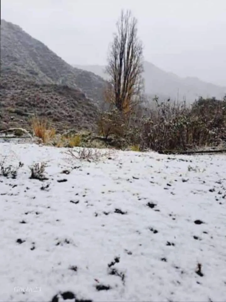 791a7e63-99c6-49e3-95ac-3836fe99b192