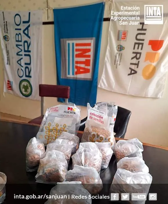 FB_IMG_1696459803408