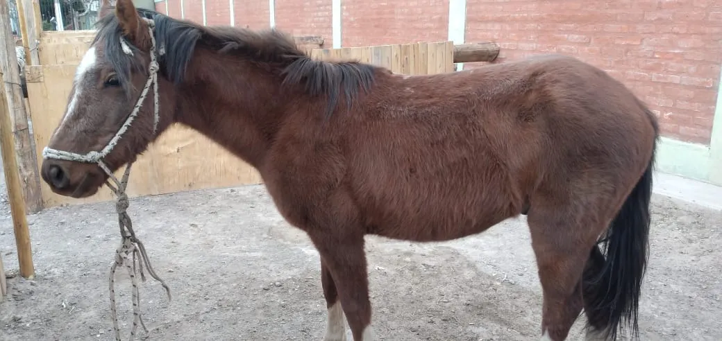 2b739d4e-3884-423b-9f06-3bab5bb86a72