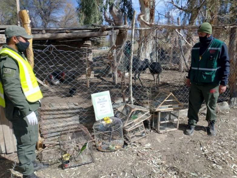 faa1c8e6577ce311721d2255ef3cd541_L