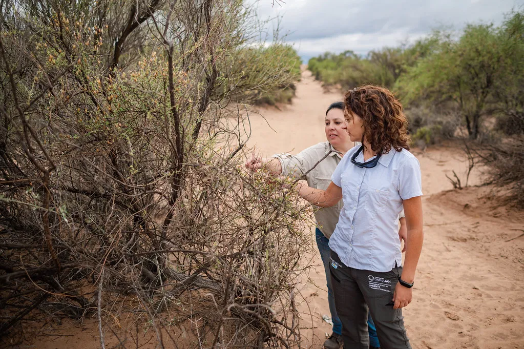 53480669060_656fee1cbf_b