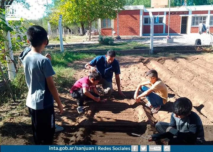 FB_IMG_1712699014089