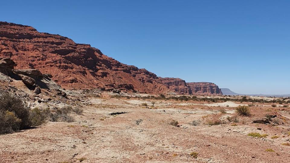 51885135653_e969402bc9_b