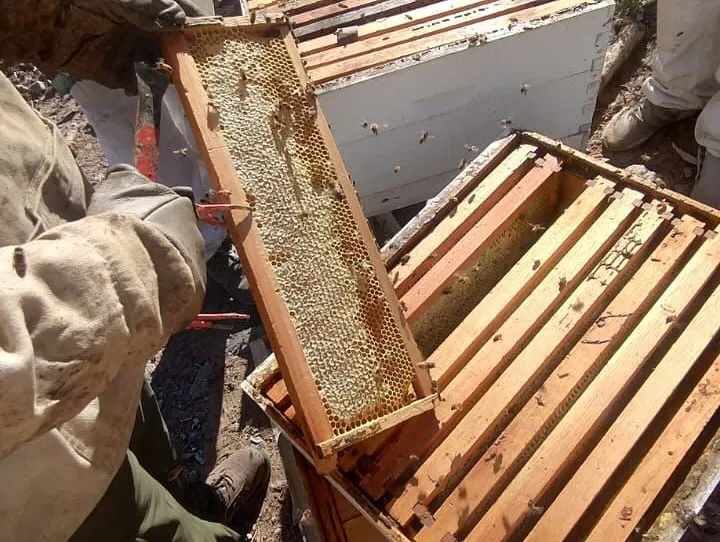 481331420_18374032210185573_5013707275072074798_n