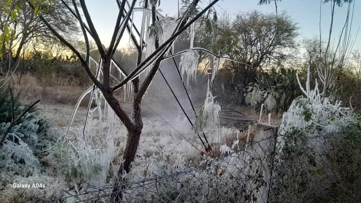 FB_IMG_1719407812925