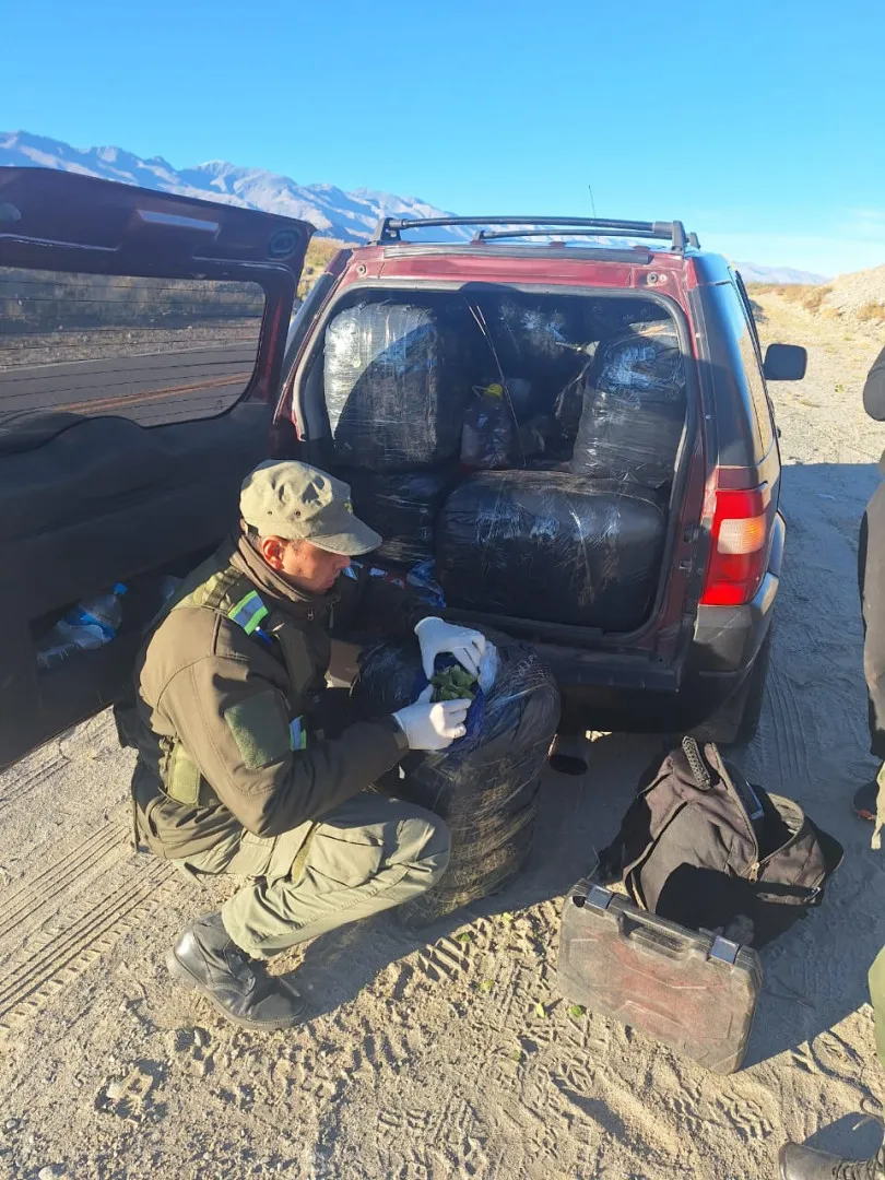 controlan_un_vehiculo_y_detectan_que_estaba_cargado_con_350_kilos_de_hojas_de_coca_1