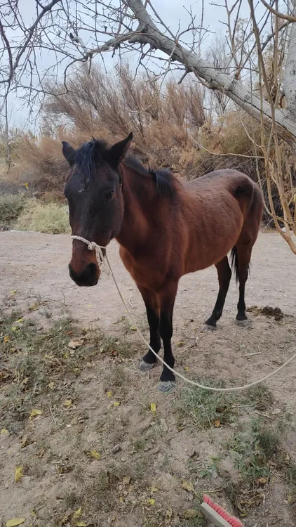 f5d7f200-da30-40e0-a6bc-966e3b7d0650