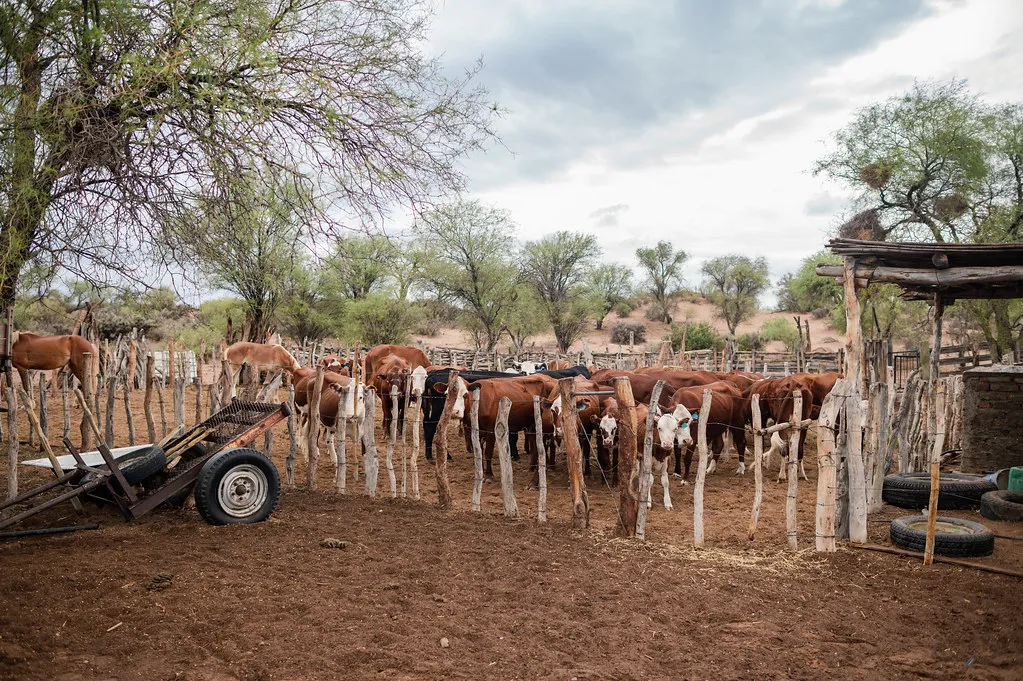 53480404008_2d4d6b99f7_b