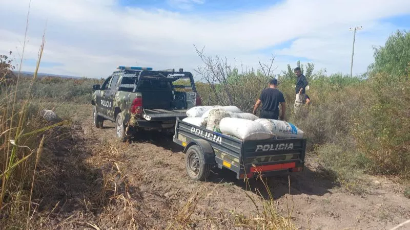 f800x450-338749_390195_5050