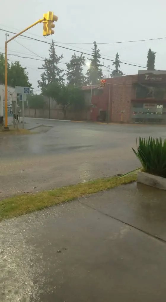 FB_IMG_1734998395981