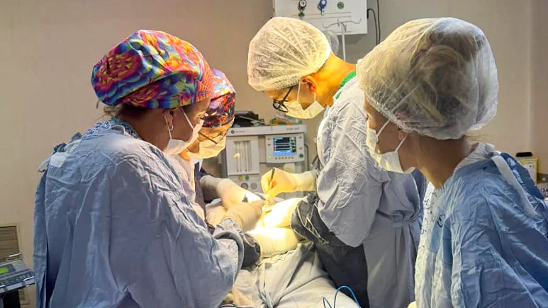 55074642515_b4d77fd3bd_b