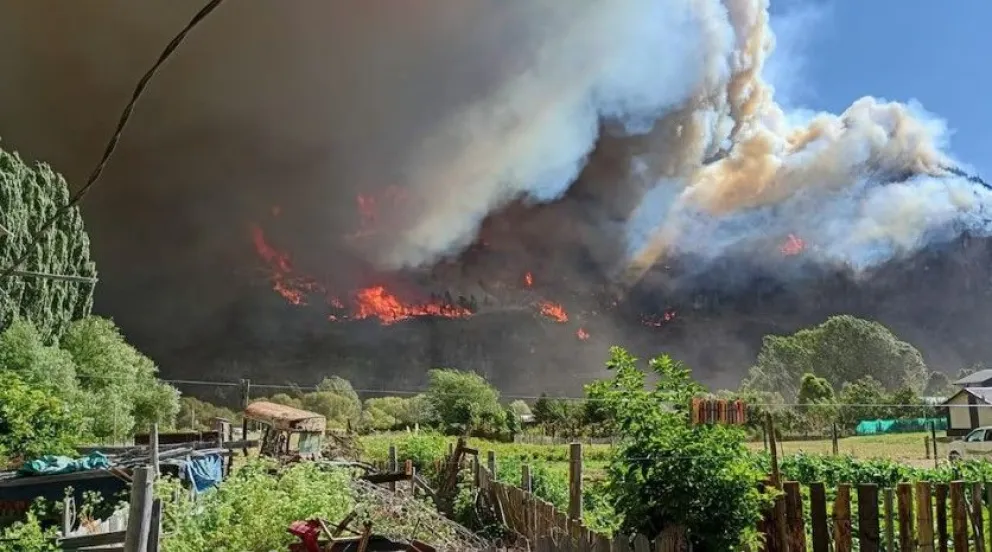 md - 2026-01-10T215101.045