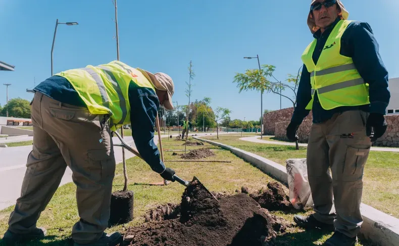 image - 2025-11-27T095012.602