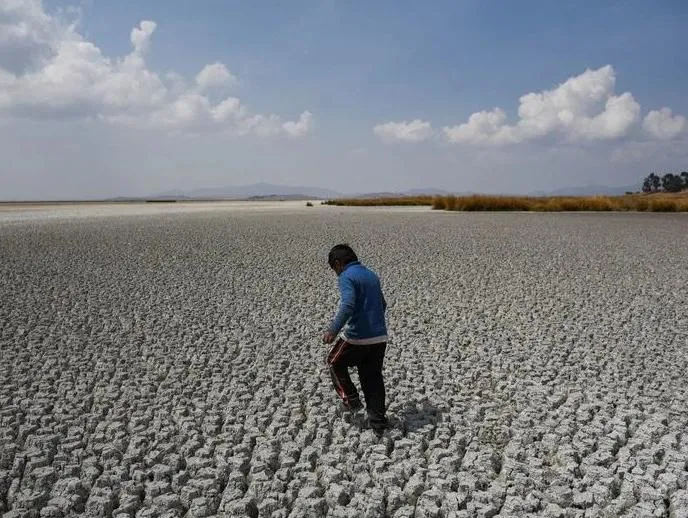 dcc121123-013f02_crop1699745365154