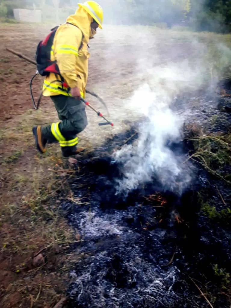 346317647_554452533515061_7330082763257877158_n