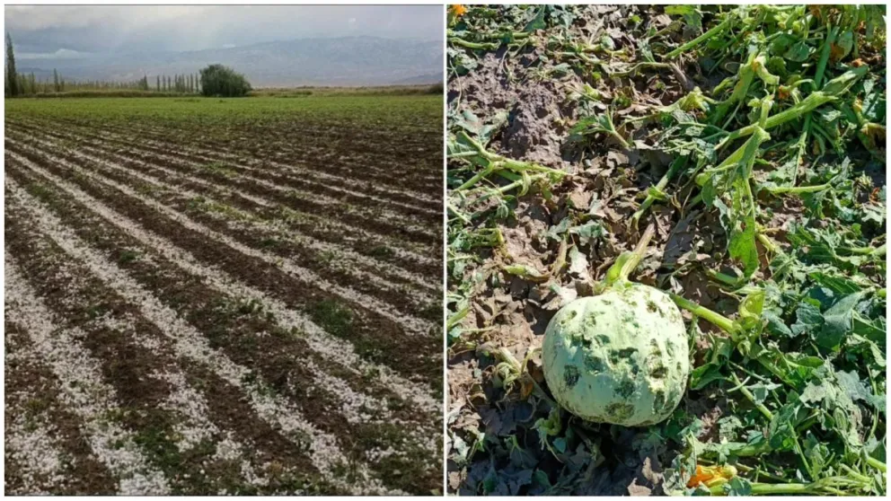 md - 2026-01-23T131157.528