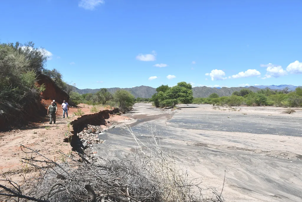 54293138118_43fcdb6113_b