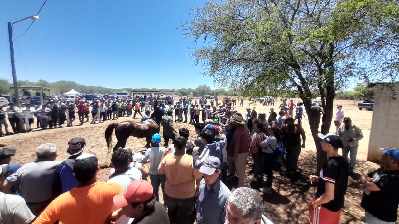 769cbe5e-771a-4c6d-915c-bf7dfd69bffd