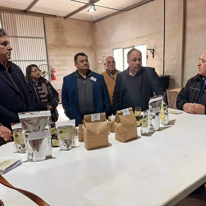 FB_IMG_1719624091548