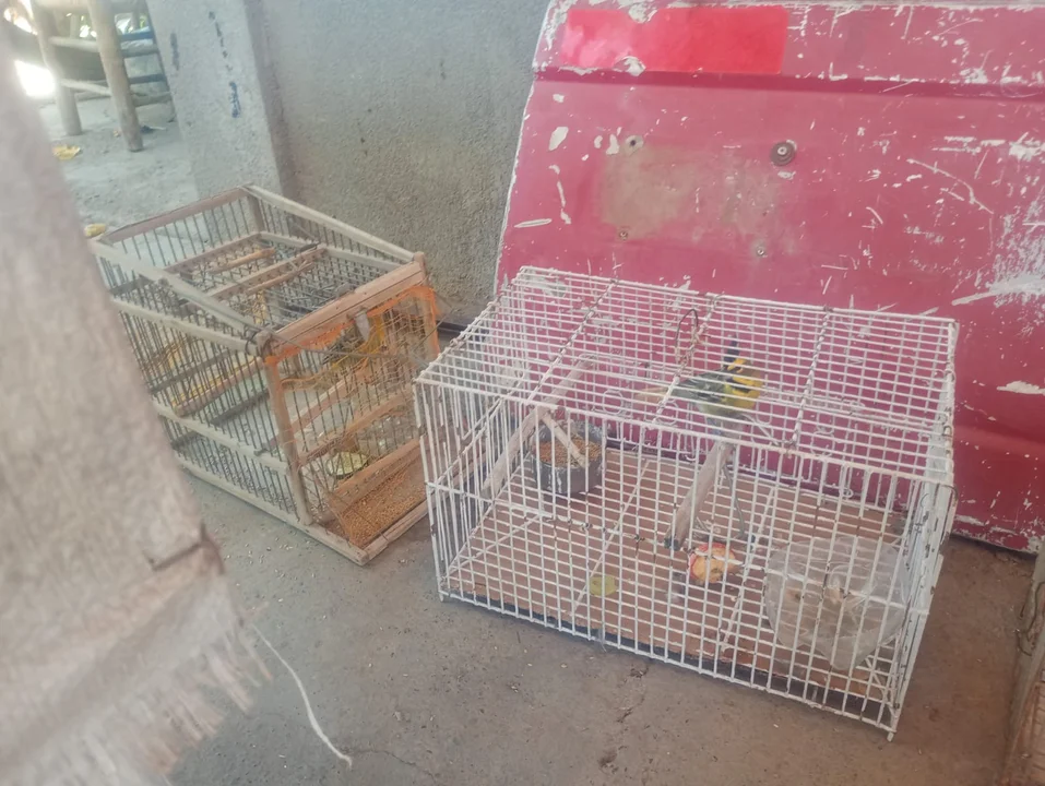 720 - 2026-02-04T003042.995