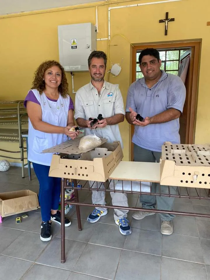 FB_IMG_1710011912111