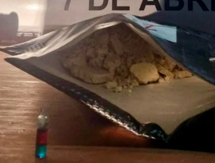 whatsapp_image_2025-09-26_at_15.52.26