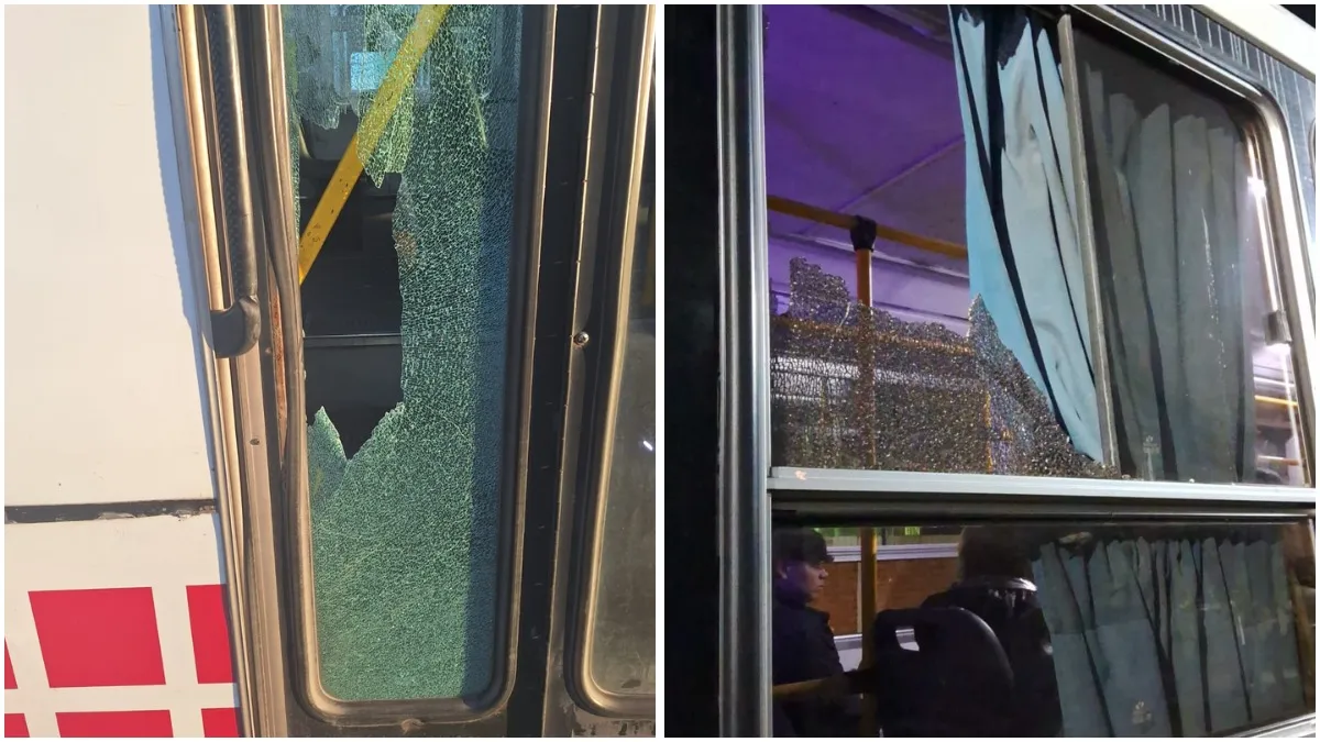 whatsapp-image-2025-04-14-at-083249jpeg