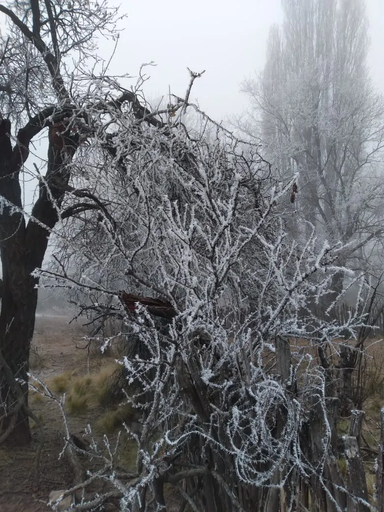 345c649d-0221-4b8a-b53b-80c1506ed0c8