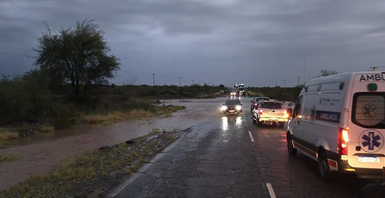 whatsapp-image-2026-01-31-at-204206-2