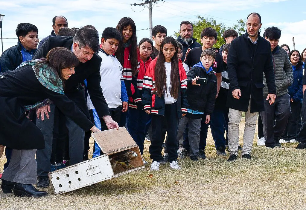 53735550297_59ee8752b7_b