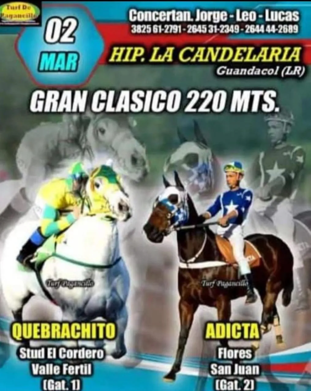 02a96f4c-0a90-4b99-80d1-fa4fba923ca5