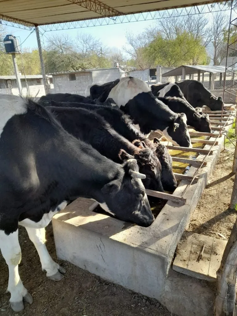 f768x1-374751_374878_5050