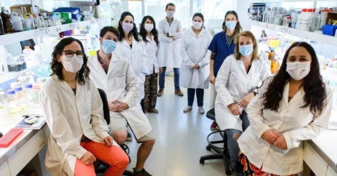 Sin-titulo-1-696x364