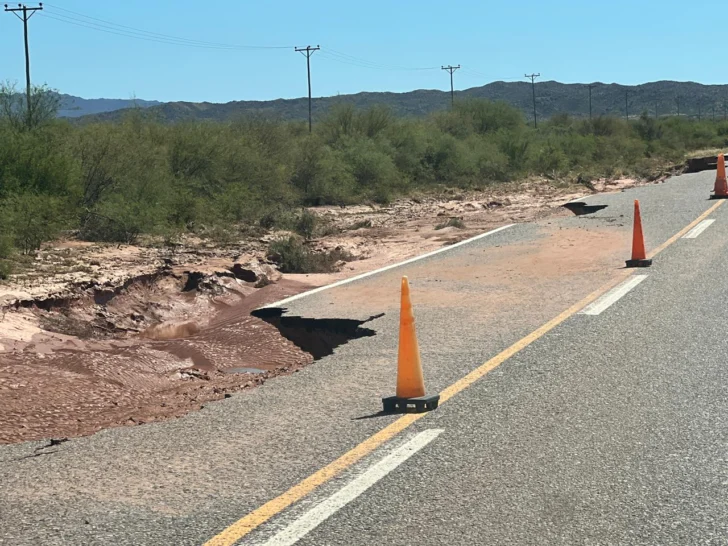 WhatsApp-Image-2026-02-03-at-11.34.12-1-728x546