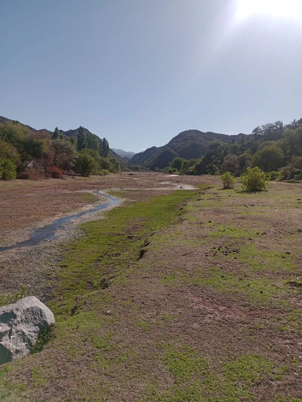 1303b5a2-bc1f-4e4b-bce3-f60a2705bfc6