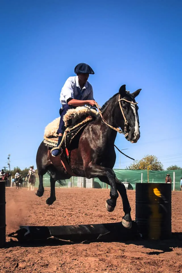 441402629_850609893760635_904989946091998047_n