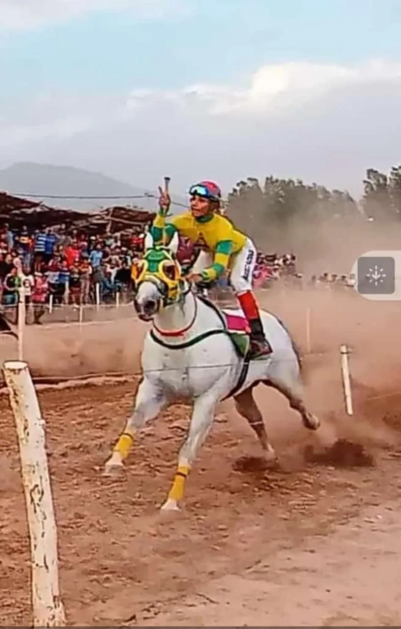 ea995156-c722-4b01-a063-a5276b7b1561