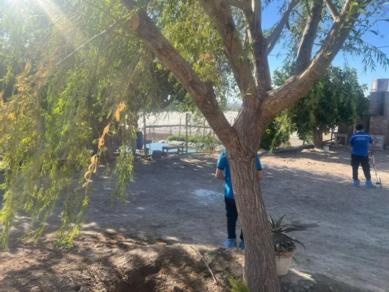 f768x1-367990_368117_5050