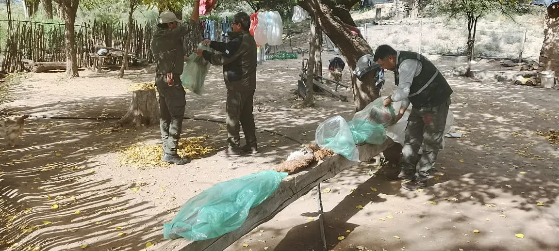 74088259-7407-438d-9bde-33609acb4872