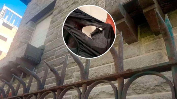 ladron-testiculosjpg-696x392