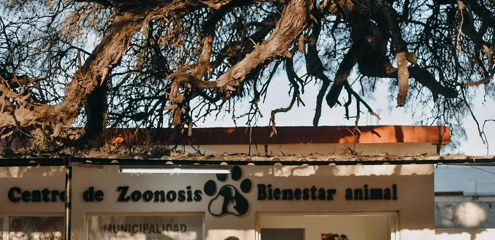 51384393517_3be050fac6_b