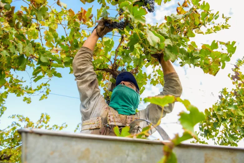 8c354be2fa195e2ff92117a3ee3c0158_L