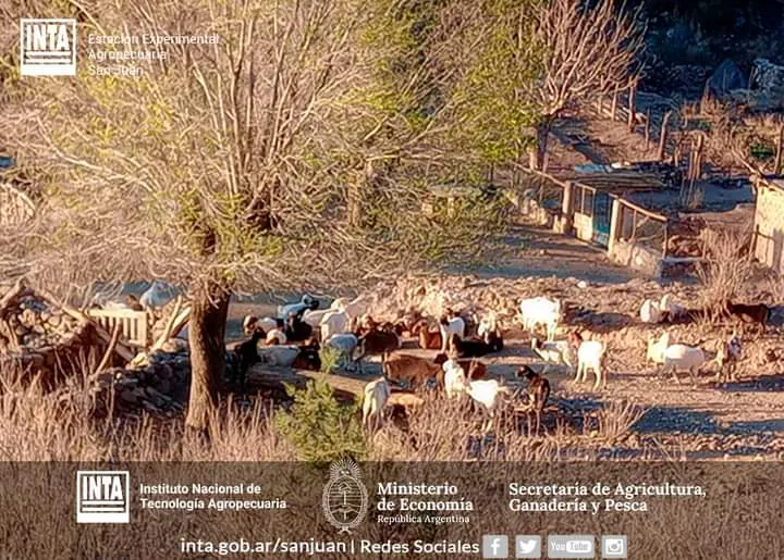 FB_IMG_1724896731072