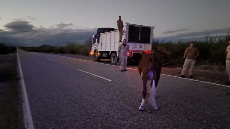 f768x1-366968_367095_5050