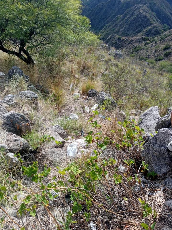 135369378_3702459179797260_4915284867182032731_n