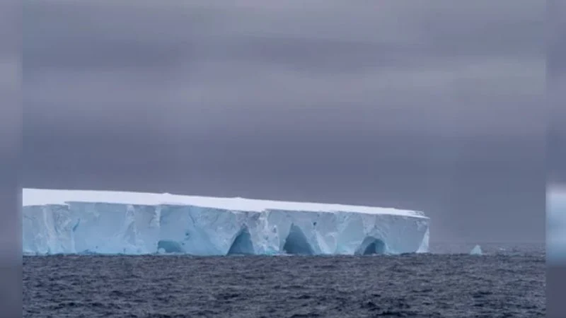 f800x450-395883_447329_5050