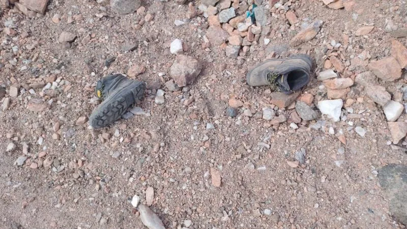 f800x450-397132_448578_5050