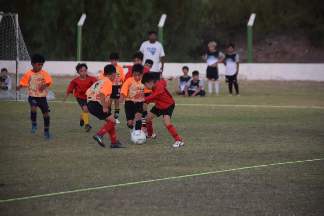 424729841_792434036244888_6301113724880227670_n