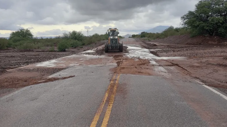 485655w790h444c.png (1)